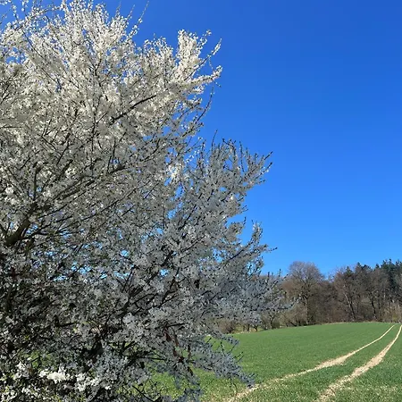 公寓 Mit Kamin Am Waldrand Neu-Eichenberg
