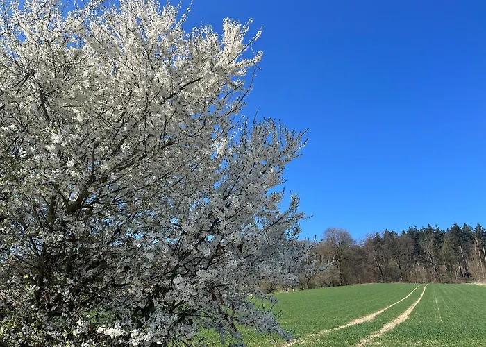 Apartman Mit Kamin Am Waldrand Neu-Eichenberg